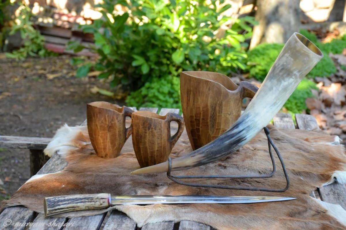Homestay El Descanso De Odin ¡una Autentica Vikinga! Mataelpino